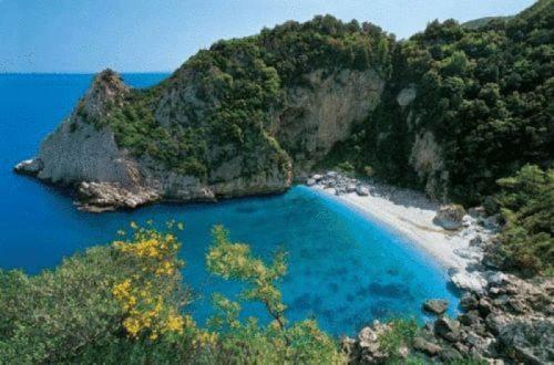 Manthos Blue